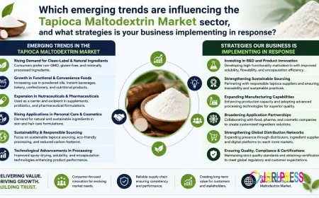 Tapioca Maltodextrin Market Growth, Demand & Industry Forecast