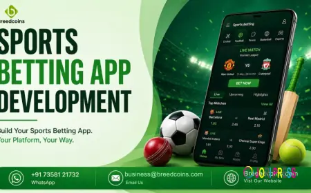 A Complete Guide to Building a Successful Sportsbook Business