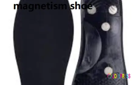 Magneticsegment Customized Magnetism Shoe Solutions