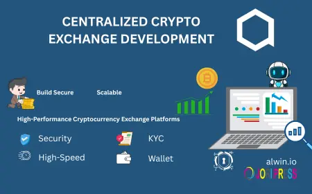 Centralized crypto exchange development