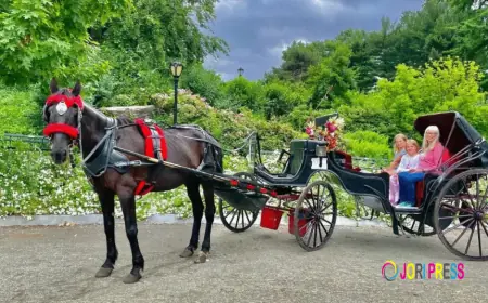 Horse Carriage Ride Central Park During Fall: Get a Colorful Experience