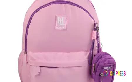 How to Choose the Right School Bag for Kids