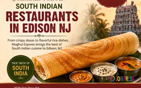 Enjoy Traditional South Indian Cuisine at Moghul Express
