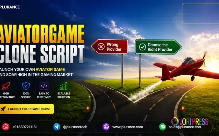 How to Choose the Right Aviator Game Clone Script Provider: A Complete Buyer's Guide
