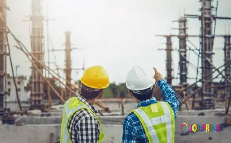 Project Consultant Company vs Project Management Consultant