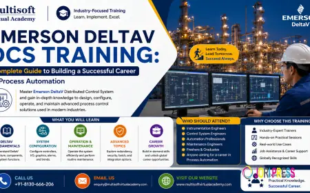 Emerson DeltaV DCS Training: Complete Guide to Building a Successful Career in Process Automation