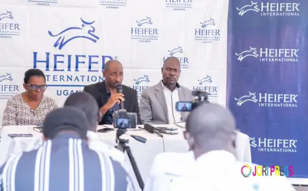 Heifer International Uganda set to convene the 2026 Signature Program Forum to mark 44 years of transforming smallholder farmers