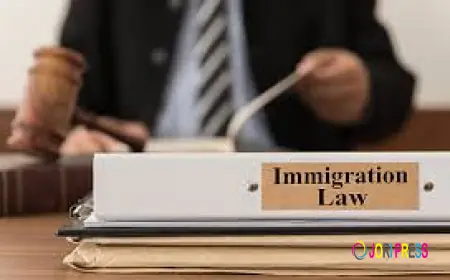 Best Immigration Lawyer Toronto for Canadian Immigration Services