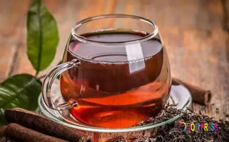 The Misty Mountain Secret: What Makes Munnar Black Tea Powder So Special?