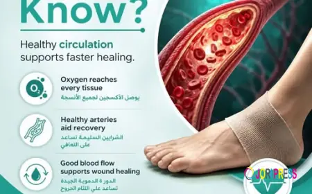 Best Vascular Surgeon UAE for Advanced Vein Care