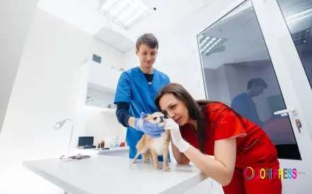 First Vet Expands Veterinary Lab Testing Services in Doha