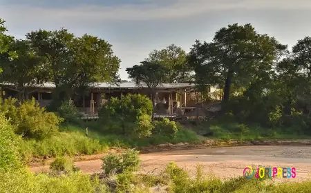 Celebrating 30 Years of African Adventures: Luxury Safaris, Honeymoons and a Journey Through Africa