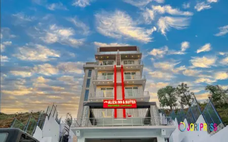 Top Hotels in Dharamshala for a Comfortable Stay