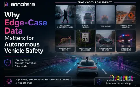 Why Edge-Case Data Matters for Autonomous Vehicle Safety