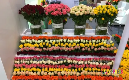 Rosebud Applauded for Boosting Uganda Exports & Employment