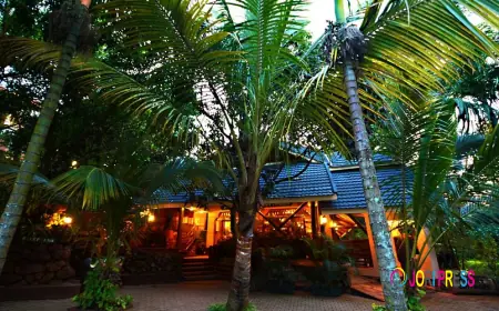 Forest Cottages introduces more eco-friendly packages