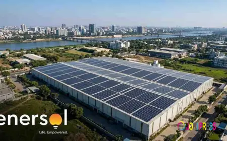 Commercial and Industrial Solar Solutions for Businesses in Ahmedabad