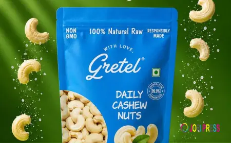 Why the Best Flavored Cashew Nut Brand in India Stands Out