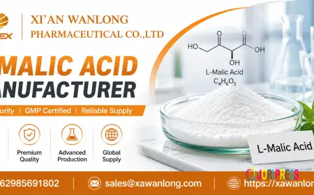 L-Malic Acid Manufacturer: Choosing a Trusted Partner for High-Purity Pharmaceutical and Industrial Applications