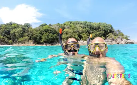 Luxury Safaris and Romantic Adventures: Discover Africa in a Whole New Way