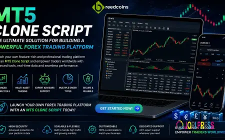 MT5 Clone Script: The Ultimate Solution for Building a Powerful Forex Trading Platform