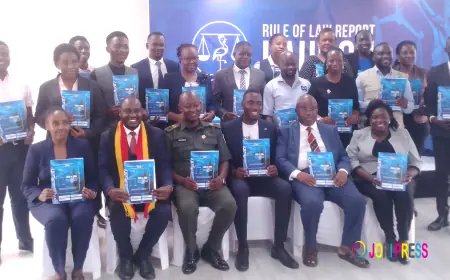 ULS releases Quarterly Rule of Law Report with a call for enhanced accountability & collective actions