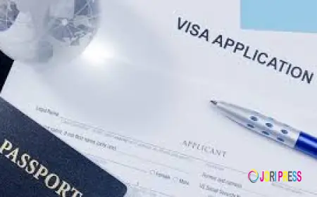 Trusted Immigration Lawyer for Expert Legal Guidance