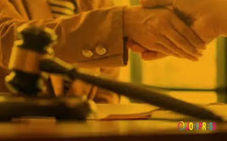 Best Immigration Lawyer for Canadian Citizenship Applications