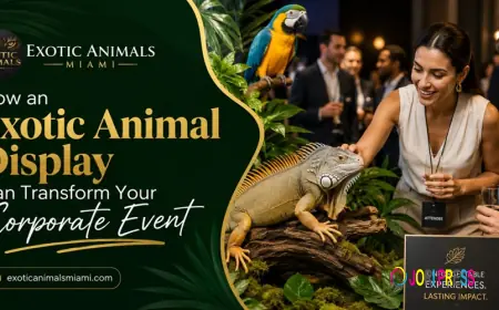Exotic Animal Display | Corporate Events - Exotic Animals Miami