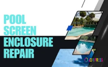 Oasis Outdoor Services LLC Announces Professional Pool Screen Repair Services in Charlotte County