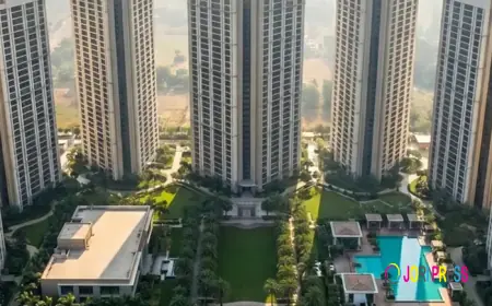 DLF The Aureva Senior Living vs Other Senior Living Homes: Which Is Better?