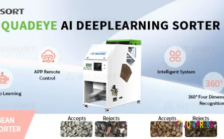 ¿Cómo elegir una máquina clasificadora de café para una planta procesadora?