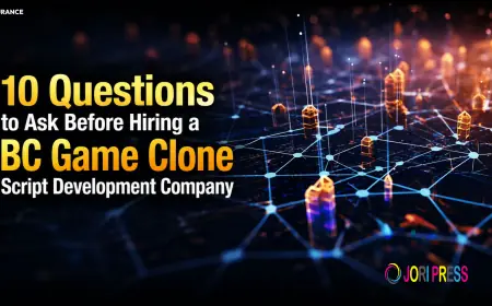 10 Questions to Ask Before Hiring a BC Game Clone Script Development Company