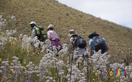 Discovering Bot River and the Beauty of Elgin Valley Through Slackpacking