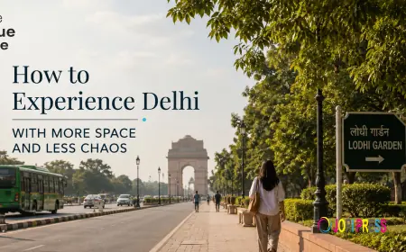 How to Experience Delhi with More Space and Less Chaos