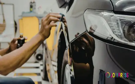 Drive with Confidence: Professional Vehicle Repair and Maintenance Services from Safari Autos
