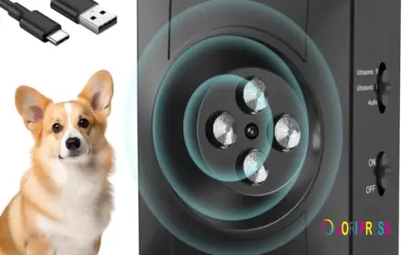 Buy Pet Accessories Online Without Wasting Half the Order