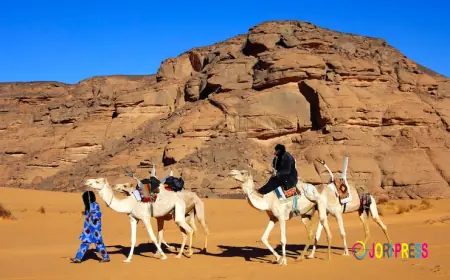 Wüstensafari Hurghada: Entdecke die Wüste auf besondere Weise