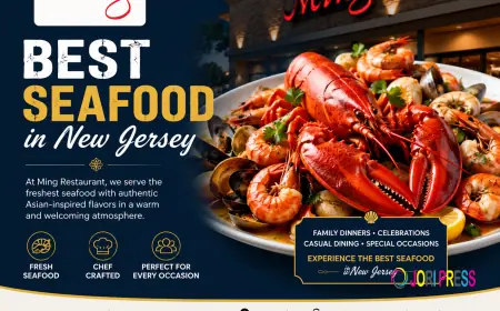 Find Your Next Seafood Dining Experience