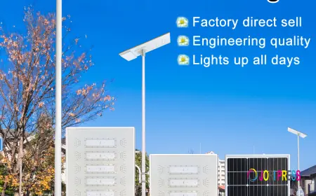 Bulk Solar Street Light Supplier: SRS 12-Year Field Review