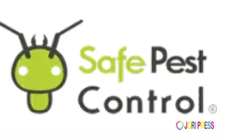 Safe Pest Control Sydney