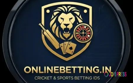 How to Choose a Reliable Online Cricket Platform for Match Updates