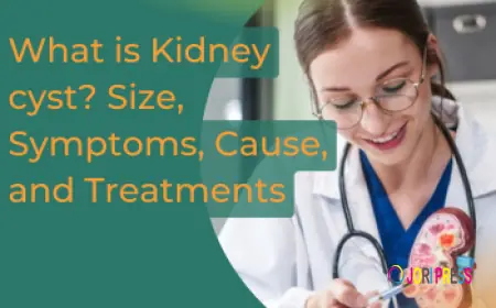 Understanding Kidney Cysts: Types, Symptoms, Causes, and Medical Management