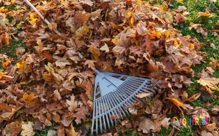 Fast Junk & Rubbish Removal Expands Waste Removal Dublin Services