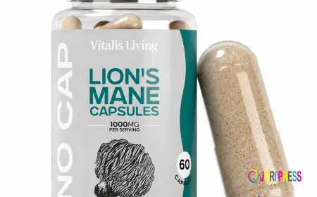 Lion's Mane Mushroom: The Complete Beginner's Guide to Benefits, Uses, and Safety