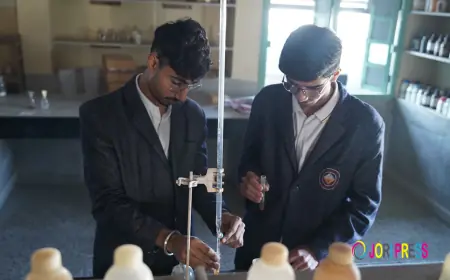 RSV Hr. Sec. School: Shaping Bright Futures with Quality Education in Bikaner