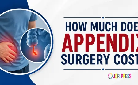 How Much Does Appendix Surgery Cost? A Complete Guide
