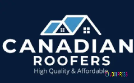 Roofing Company in Toronto | Repair & Installation Experts