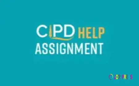 Are Online CIPD Assignment Help Useful?