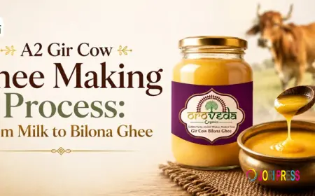 A2 Gir Cow Ghee Making Process: From Milk to Bilona Ghee